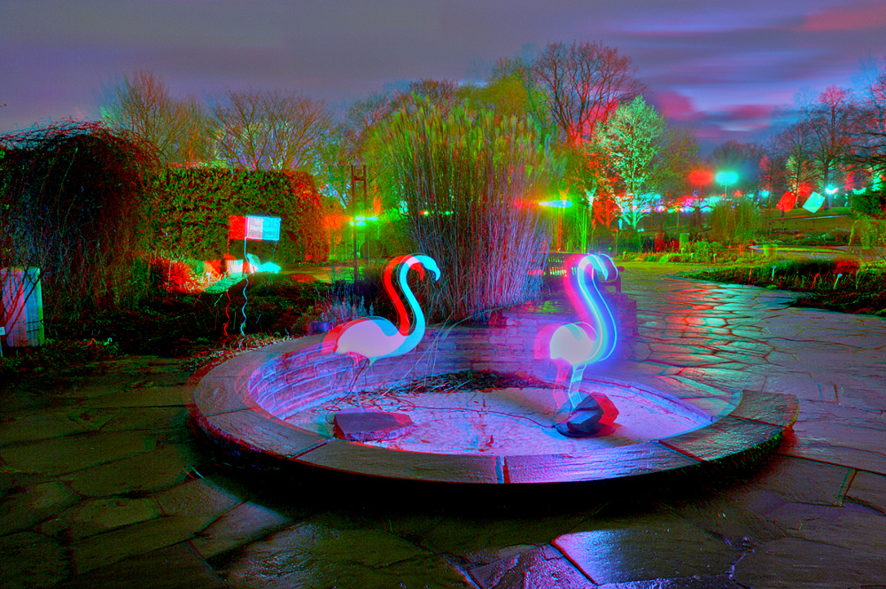 Flamingos (3D für rot/cyan Brille)