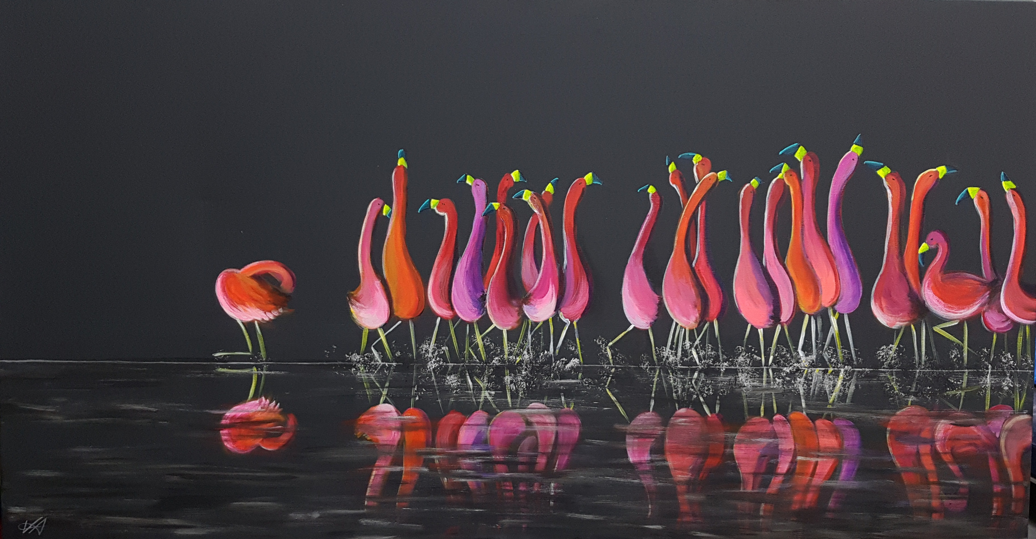 flamingos' dance