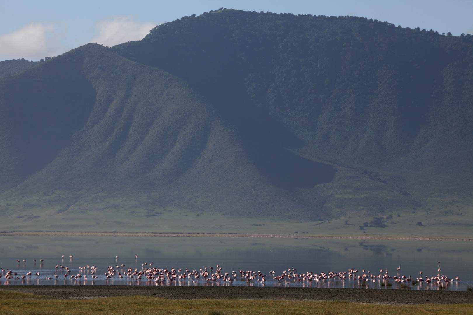 Flamingos im Ngorongoro_1