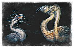 - Flamingos surreal -