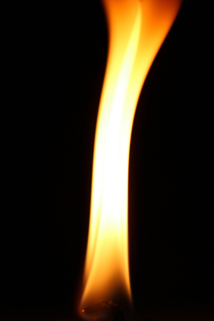 Flamme des Lebens