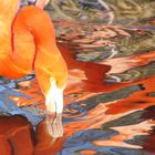 Flamme im Wasser