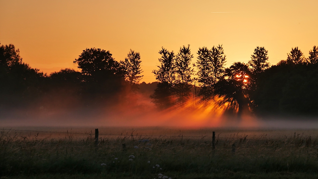 Flammen am Morgen, 