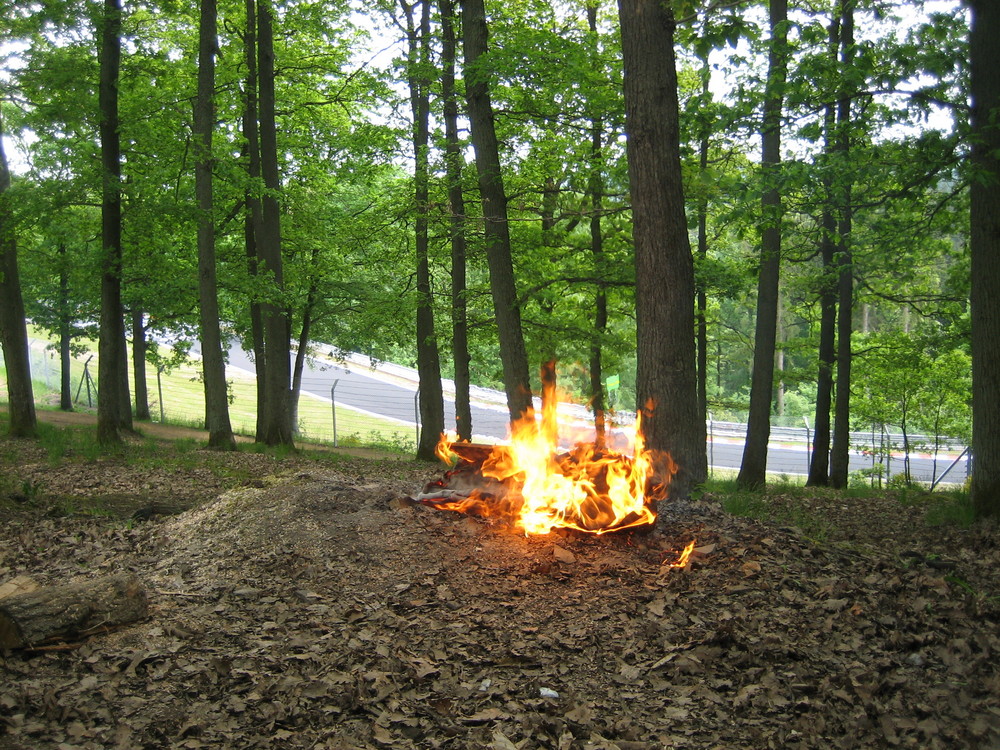 Flammen im Forst