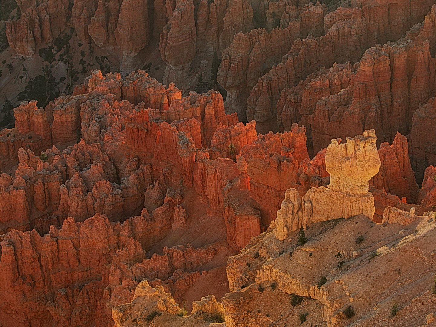 Flammende Felsen  Bryce Canyon