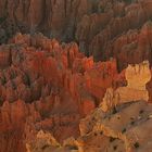 Flammende Felsen  Bryce Canyon