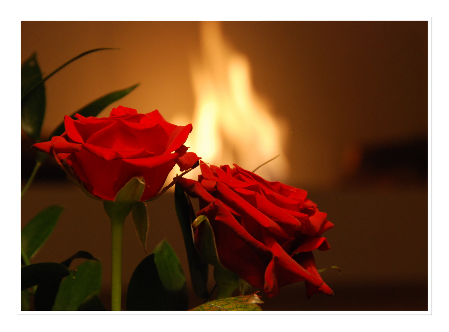 Flammende Liebe Foto & Bild emotionen, liebe, diverses Bilder auf