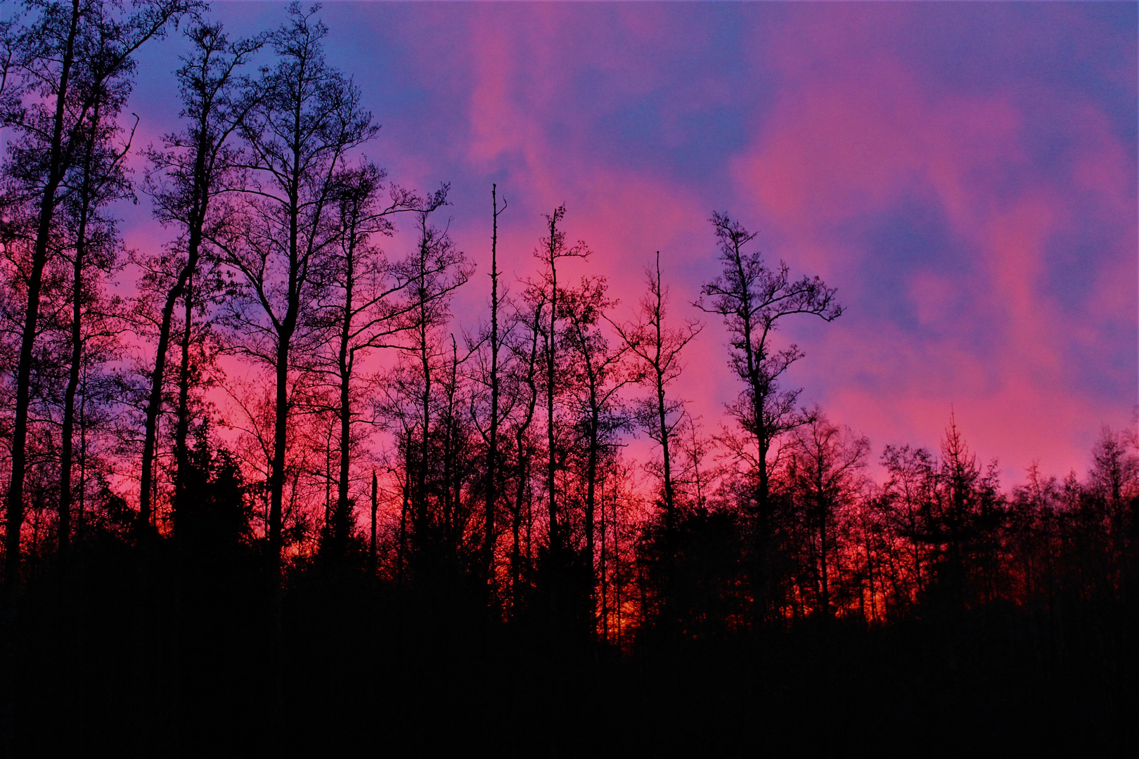 Flammendes Abendrot