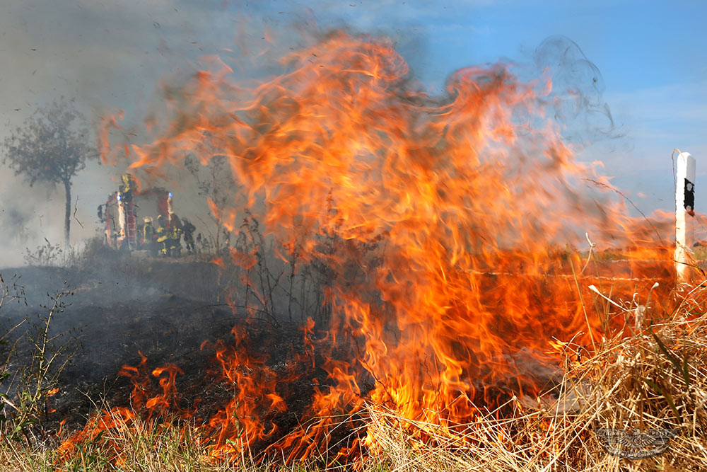 flammendes Inferno ... oder eben nur Grasnarbenbrand ...             