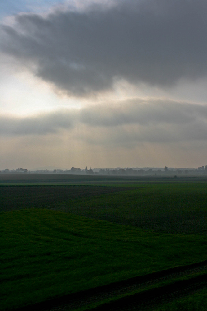 flanders' meadows