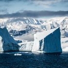 Flandres Bay - Eisberge vor der Küste 