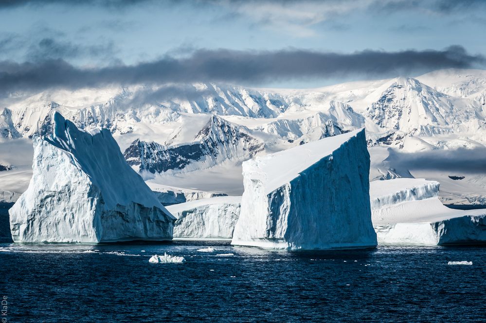 Flandres Bay - Eisberge vor der Küste 