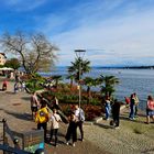 Flanieren am Bodensee