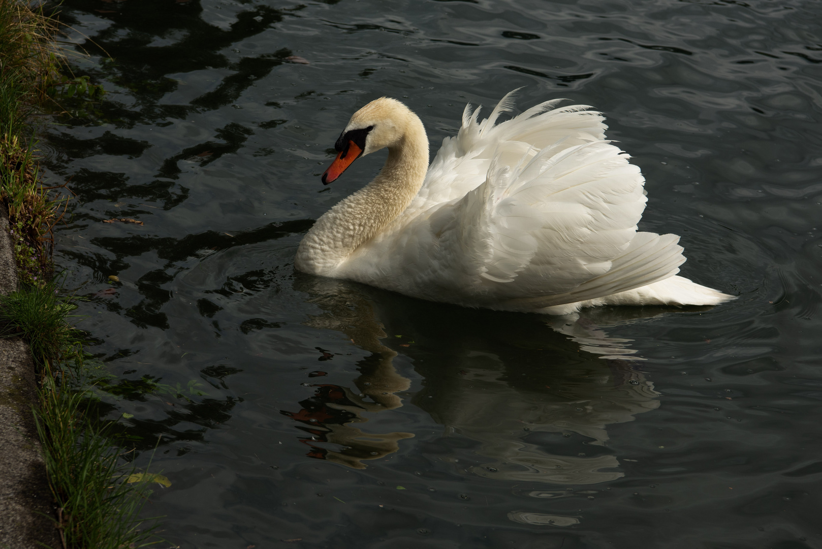 Flanieren am Seeufer