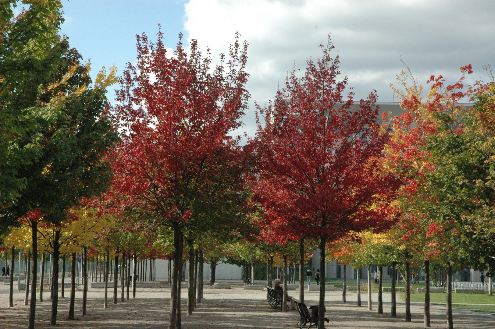 Flanieren und Verweilen im herbstlichen Berlin