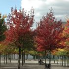 Flanieren und Verweilen im herbstlichen Berlin