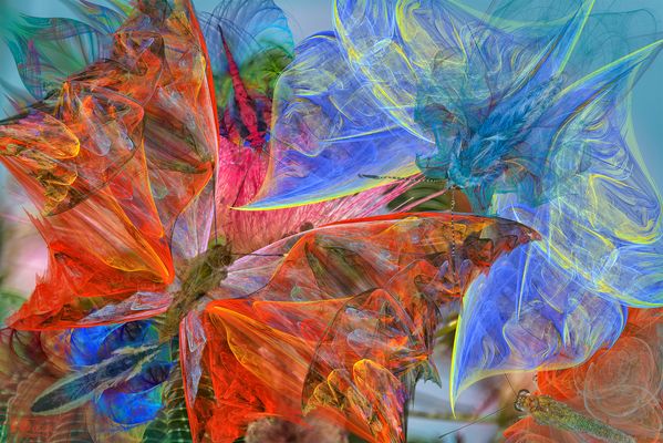 Flapping Butterflies