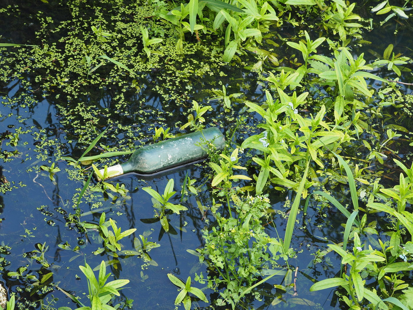 Flasche im Nassen