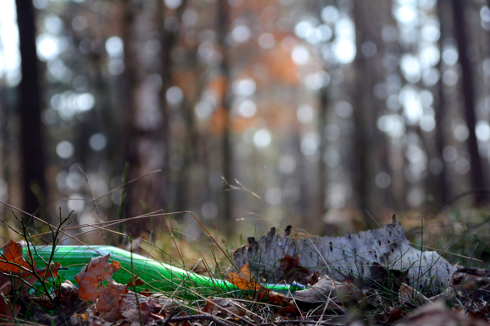 Flasche im Wald