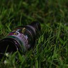 Flasche leer ... Bierflasche auf einem Feld