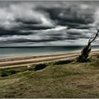 Flashback on Omaha Beach