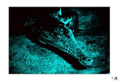--- flashing crocodile ---