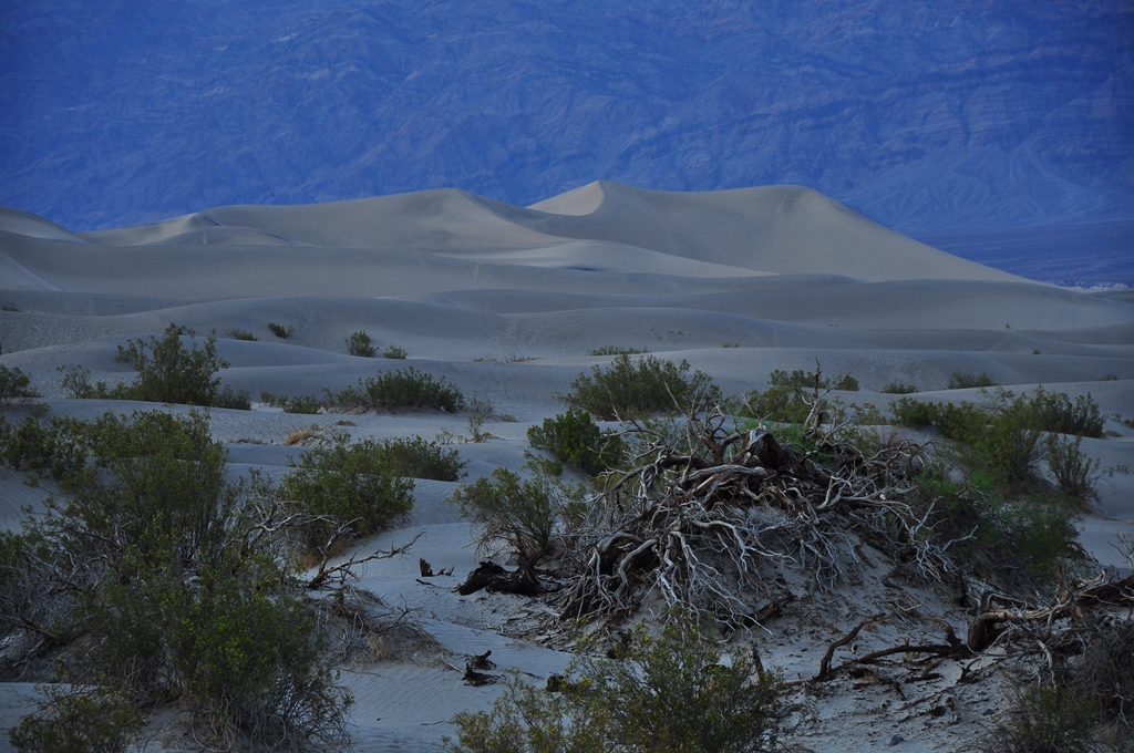 flat dunes