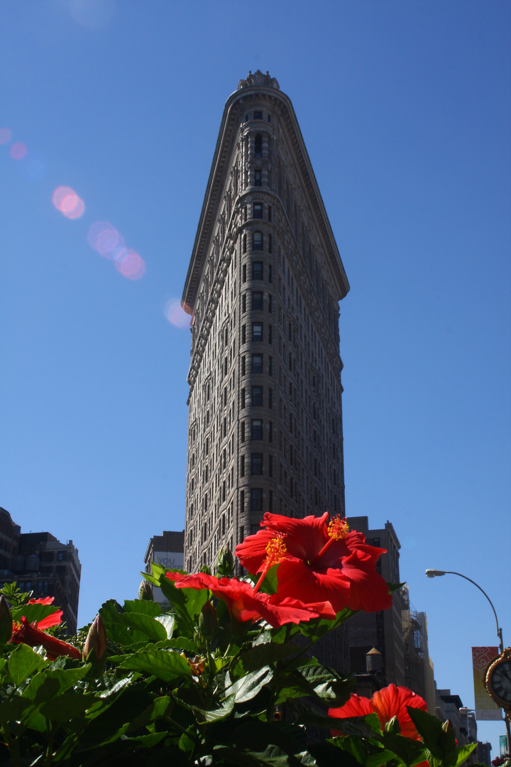 Flat Iron Building