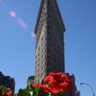 Flat Iron Building