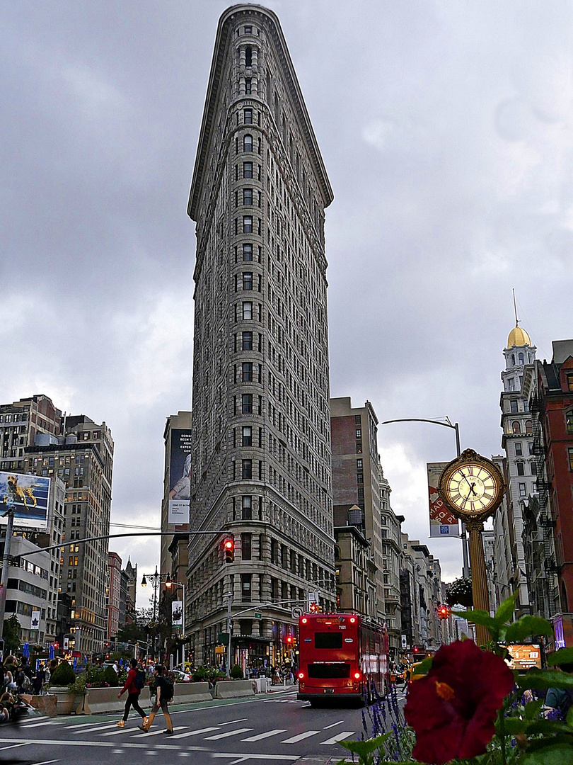 "Flat Iron" mit Hibiskus !