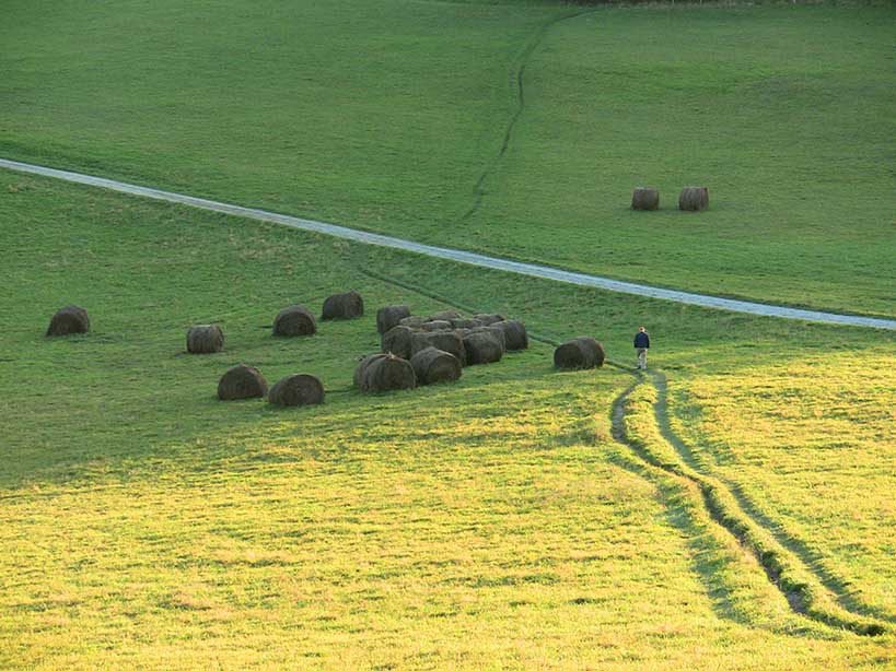 Flat Top Mountain Carriage Trail