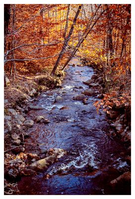 Flatbrook River at Stokes State Forest