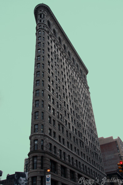 Flatiron Building 1