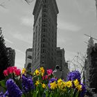 flatiron building aus einer anderen Perspektive!!!!!!!!