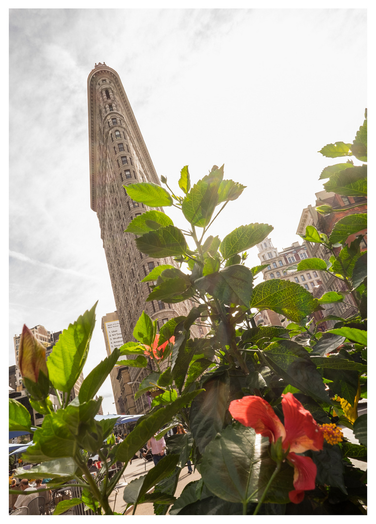 Flatiron Building