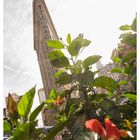 Flatiron Building