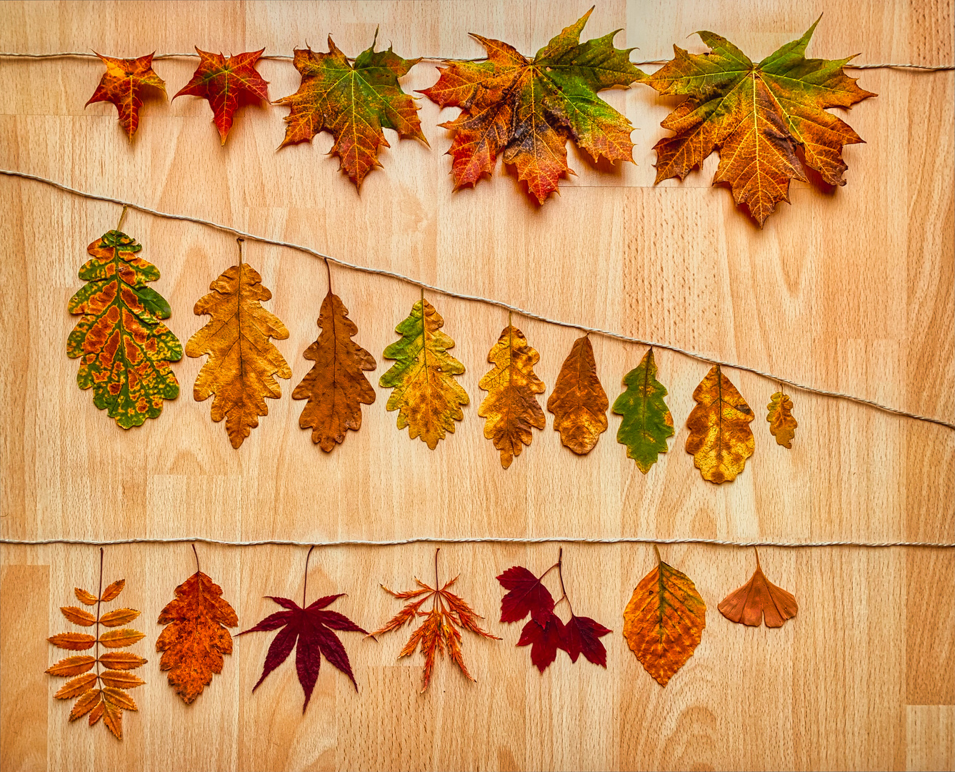 Flatlay mit Herbstblättern