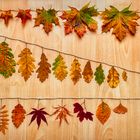 Flatlay mit Herbstblättern