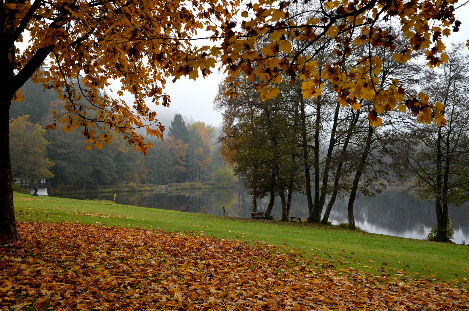 Flatschacher See im Nebel (Kärnten )