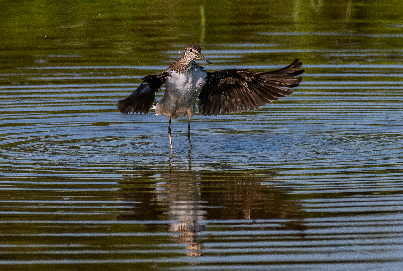 Flattern