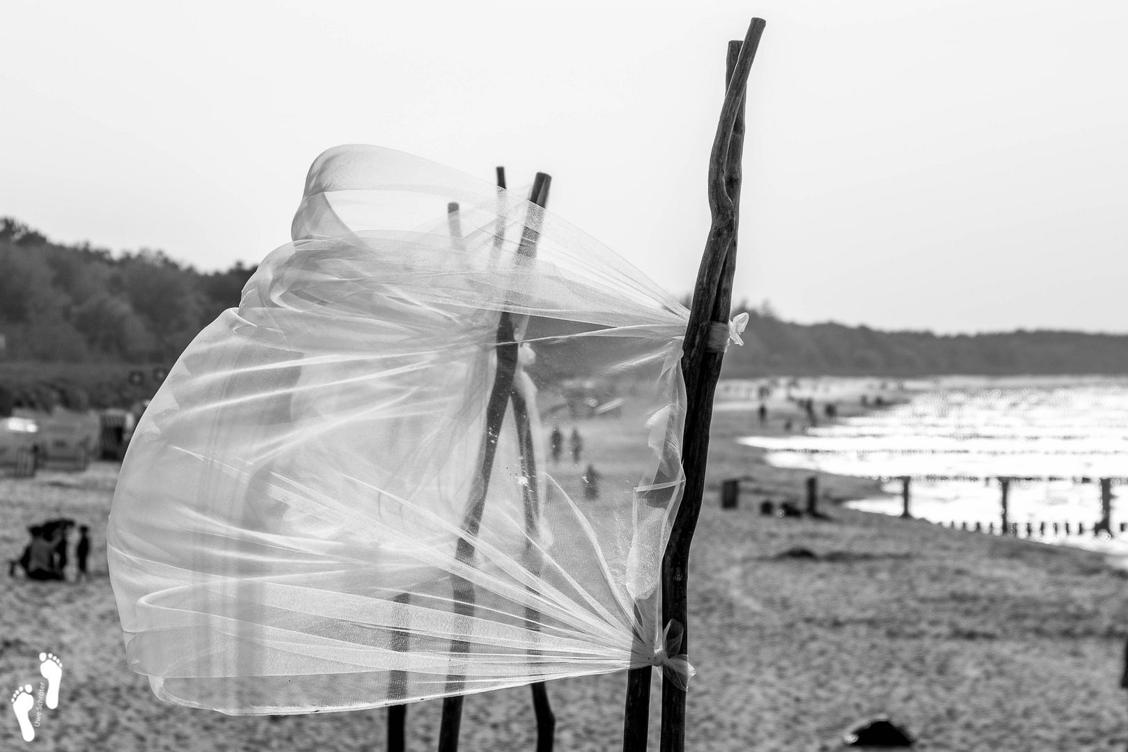 flattern im Wind