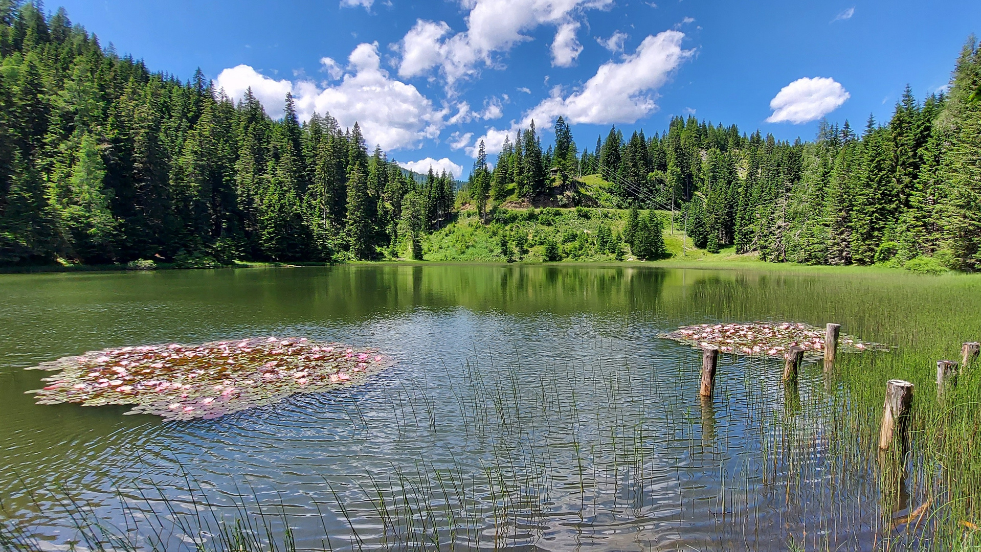 Flattnitzer See 1370 m