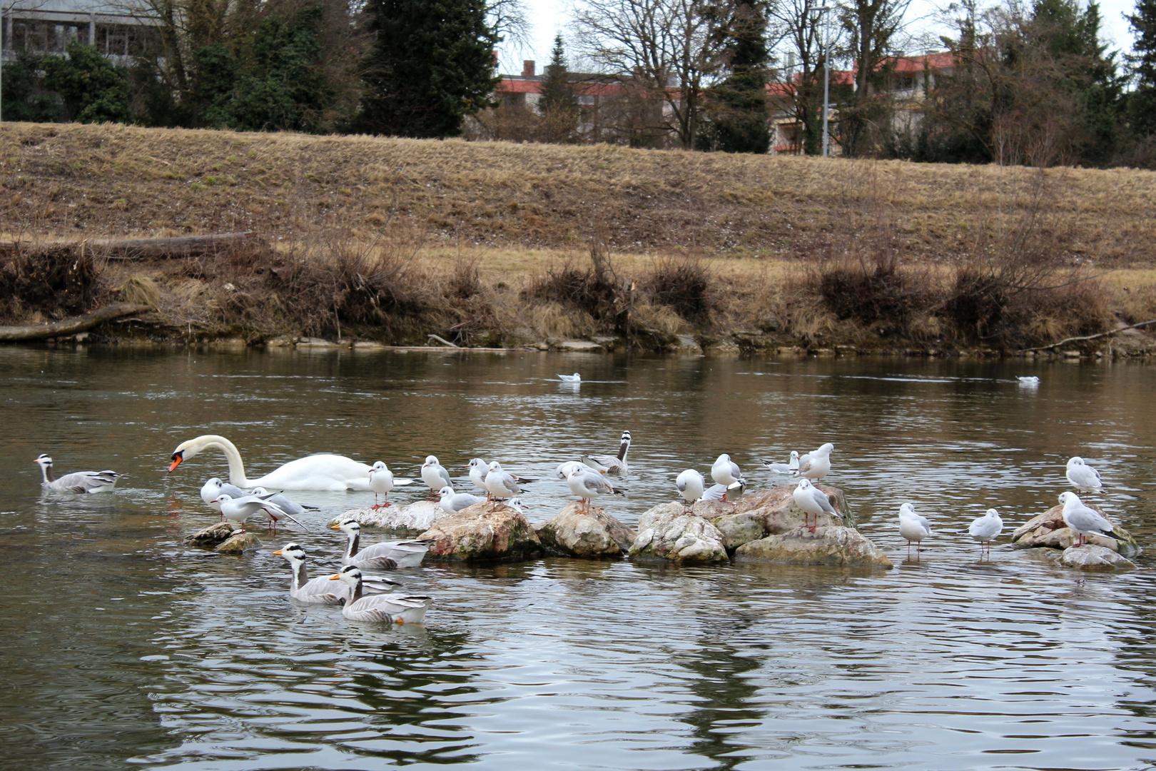 Flaucher München 5