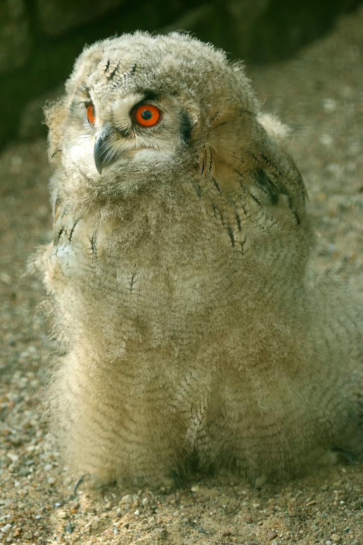 Flausch Knäuel