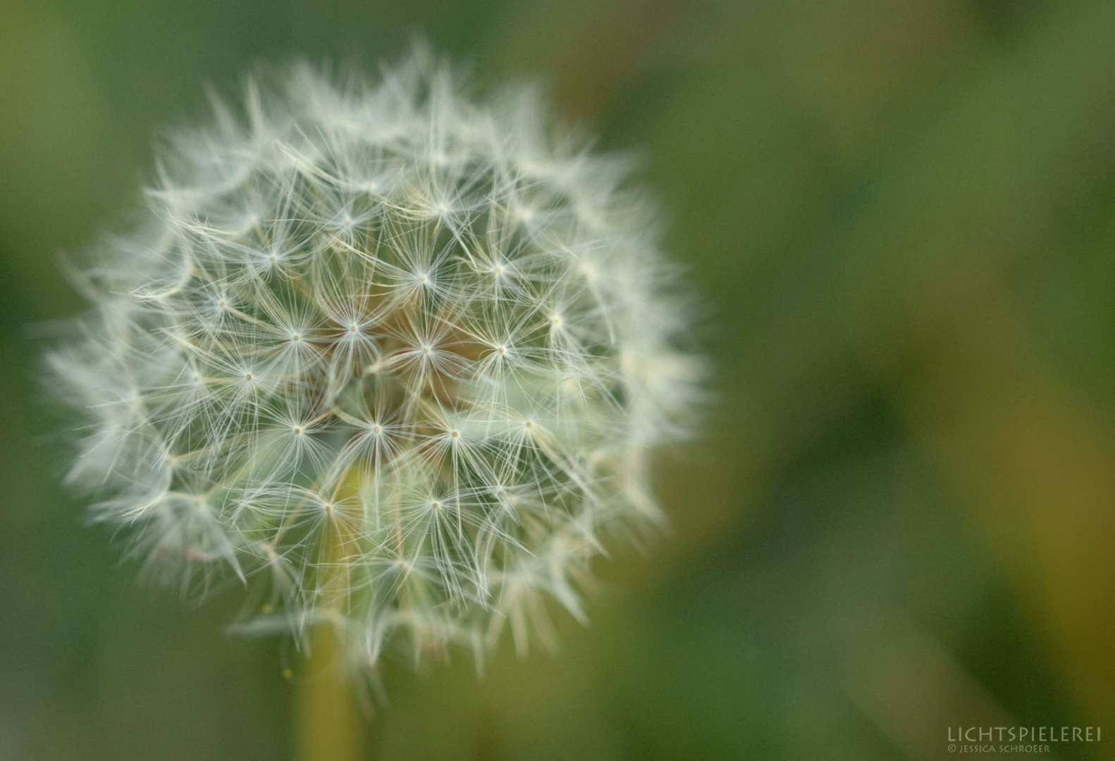 Flauschig