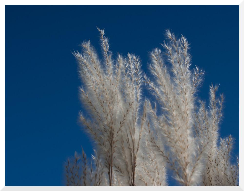 flauschig