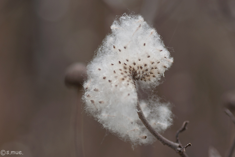 flauschig