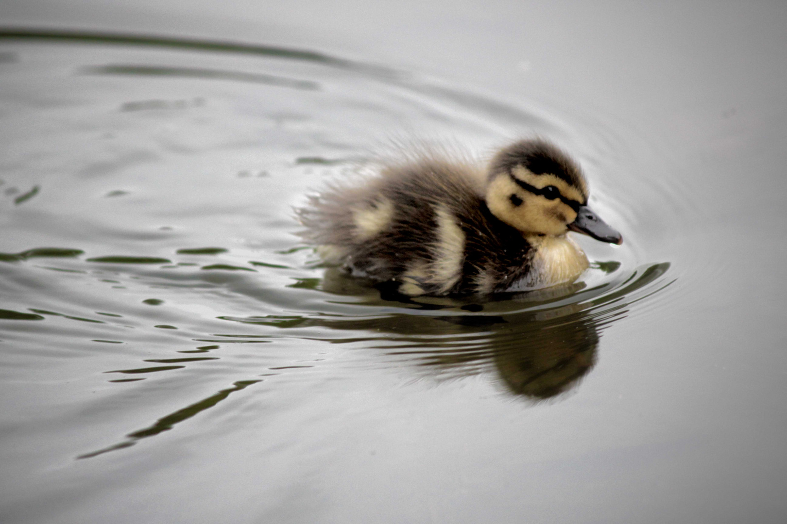 Flauschig ;-)