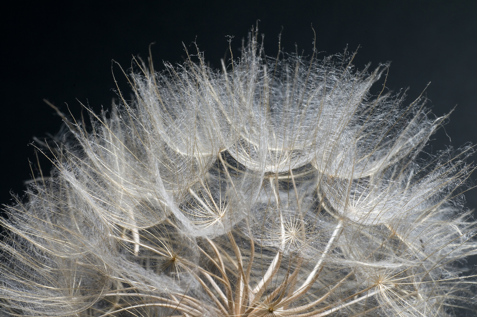 Flauschig