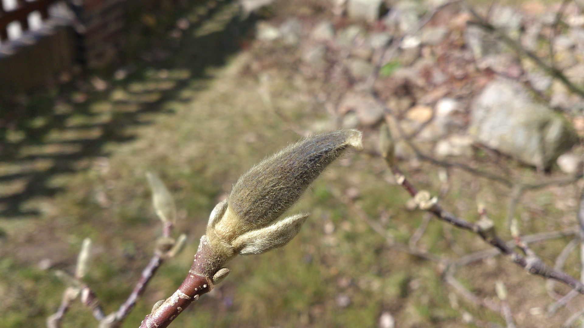 Flauschig